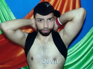 Zevit