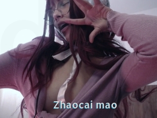Zhaocai_mao