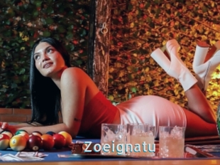 Zoeignatu